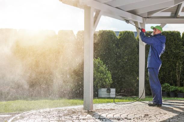 Best Solar Panel Cleaning  in Palm Shores, FL